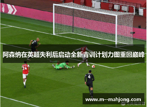 阿森纳在英超失利后启动全新青训计划力图重回巅峰 阿森纳在英超失利后启动全新青训计划力图重回巅峰